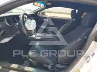 2019 Ford MUSTANG photo