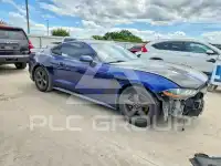 2019 Ford MUSTANG фото