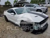 2019 Ford MUSTANG фото