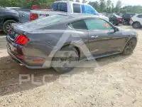 2019 Ford MUSTANG photo