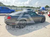 2019 Ford MUSTANG фото