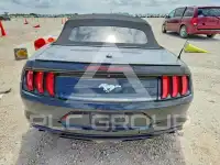 2019 Ford MUSTANG photo