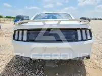 2019 Ford MUSTANG photo