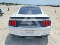 2019 Ford MUSTANG photo
