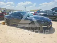 2019 Ford MUSTANG photo