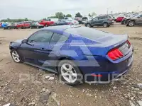 2019 Ford MUSTANG photo