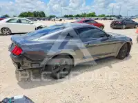 2019 Ford MUSTANG фото