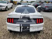 2019 Ford MUSTANG фото