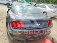 2019 Ford MUSTANG photo