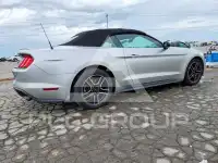 2019 Ford MUSTANG photo