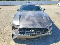 2019 Ford MUSTANG фото
