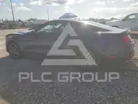2019 Ford MUSTANG фото