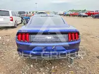 2019 Ford MUSTANG photo