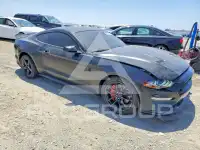 2019 Ford MUSTANG photo