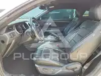 2019 Ford MUSTANG photo