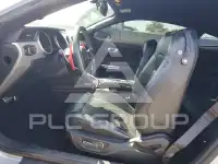 2019 Ford MUSTANG фото
