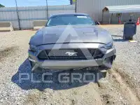 2019 Ford MUSTANG photo