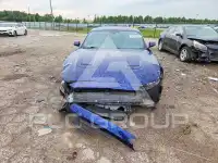 2019 Ford MUSTANG photo