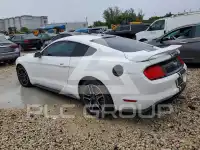 2019 Ford MUSTANG фото