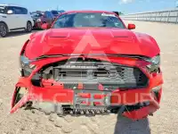 2019 Ford MUSTANG фото