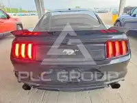 2019 Ford MUSTANG фото