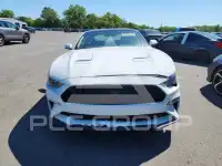 2019 Ford MUSTANG фото