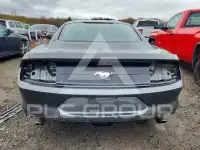 2019 Ford MUSTANG фото