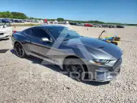 2019 Ford MUSTANG фото