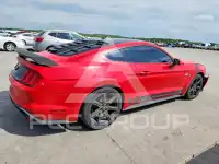 2019 Ford MUSTANG photo
