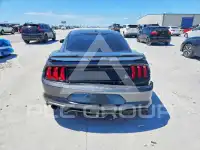 2019 Ford MUSTANG photo