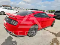 2019 Ford MUSTANG photo