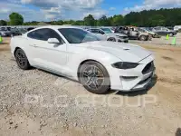 2019 Ford MUSTANG photo