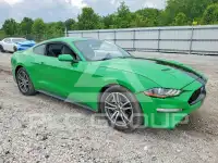2019 Ford MUSTANG фото