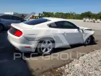 2019 Ford MUSTANG photo