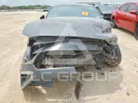 2019 Ford MUSTANG photo