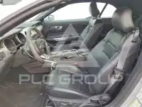 2019 Ford MUSTANG photo