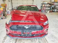 2019 Ford MUSTANG photo