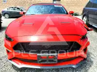 2019 Ford MUSTANG photo