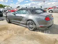 2019 Ford MUSTANG photo