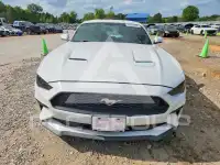 2019 Ford MUSTANG photo