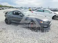 2019 Ford MUSTANG фото