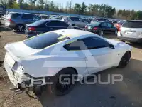 2019 Ford MUSTANG фото