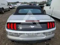 2019 Ford MUSTANG photo