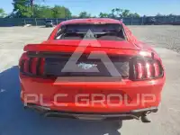 2019 Ford MUSTANG фото