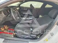 2019 Ford MUSTANG photo