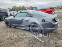 2019 Ford MUSTANG фото