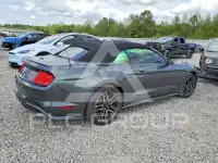 2019 Ford MUSTANG фото