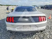 2019 Ford MUSTANG photo