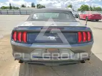 2019 Ford MUSTANG photo