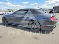 2019 Ford MUSTANG photo